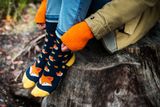 Veselé ponožky - Lišiak